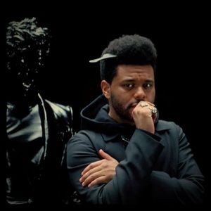 Meet your Posher, Xavier